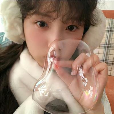 缉凶双宝